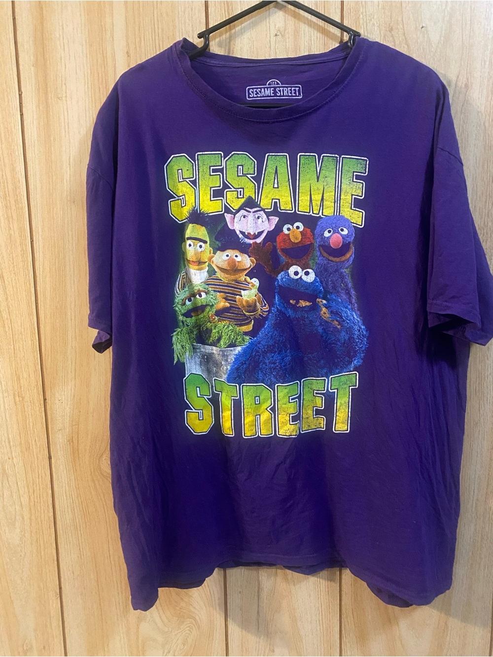 Sesame Street Purple Tee with Colorful Character Graphic